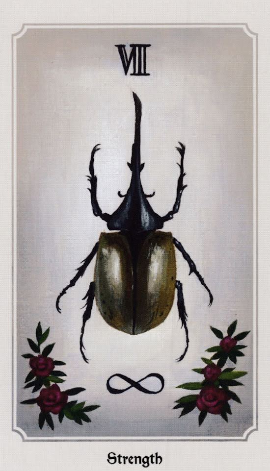 Anima Mundi Tarot